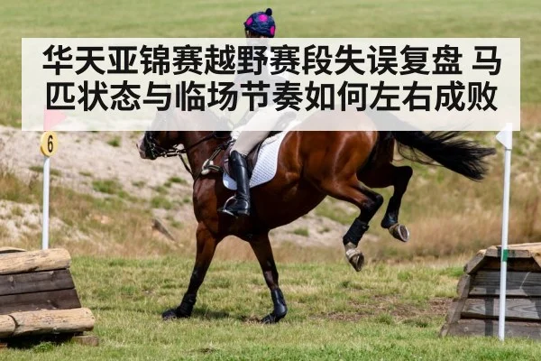 华天亚锦赛越野赛段失误复盘 马匹状态与临场节奏如何左右成败